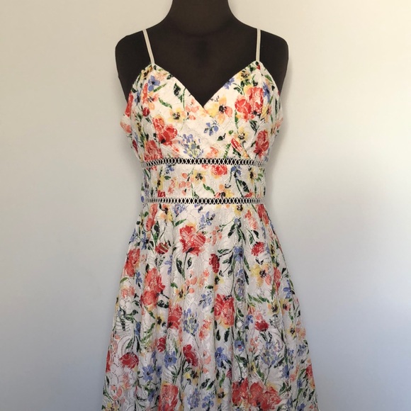 Floral Lace Fit and Flare Dress - Picture 1 of 6